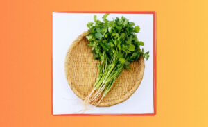 Store Fresh Herbs to Keep Them Vibrant and Flavorful