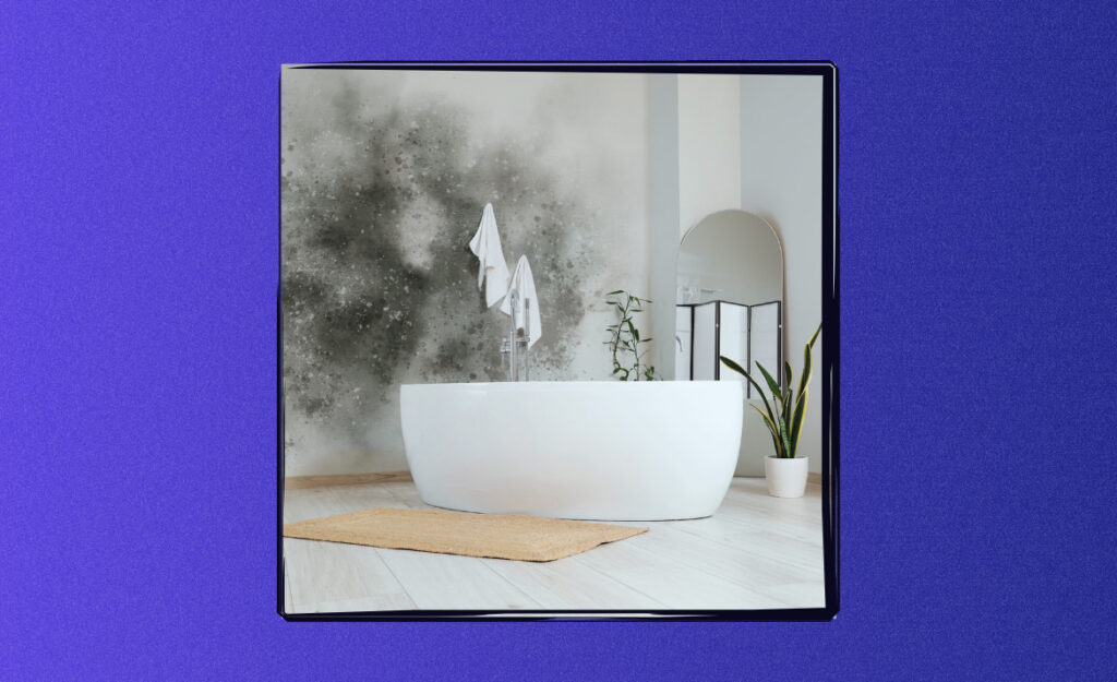 prevent bathroom mold