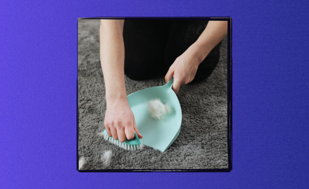 Remove Pet Hair Without Fancy Tools: Practical Tips