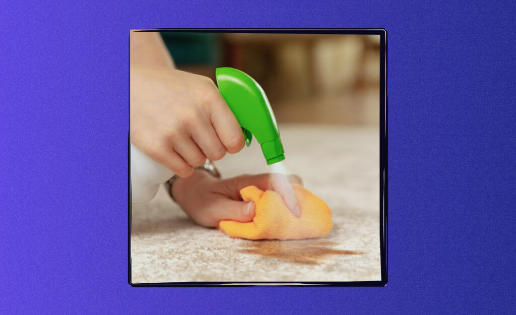 Remove Carpet Stains Fast Without Chemicals