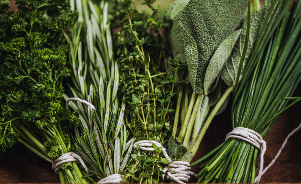 store fresh herbs