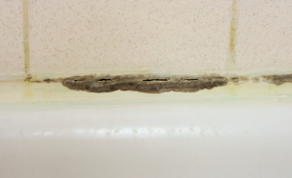 prevent bathroom mold